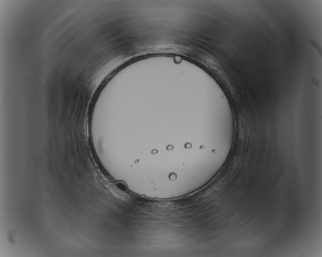 X0000100851328200807181047