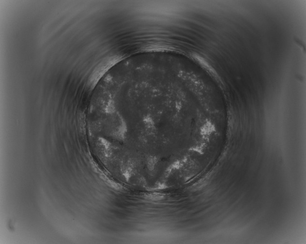 X0000100851329200807181047