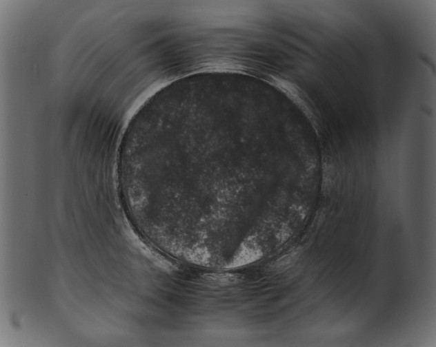 X0000100851331200807181047