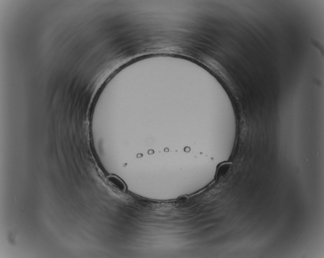 X0000100851332200807181047