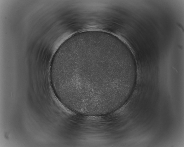 X0000100851333200807181047