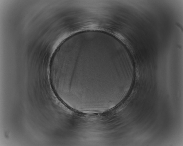 X0000100851334200807181047