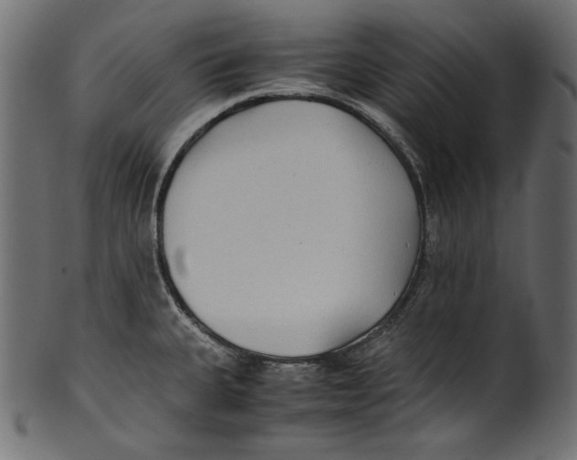 X0000100851335200807181047