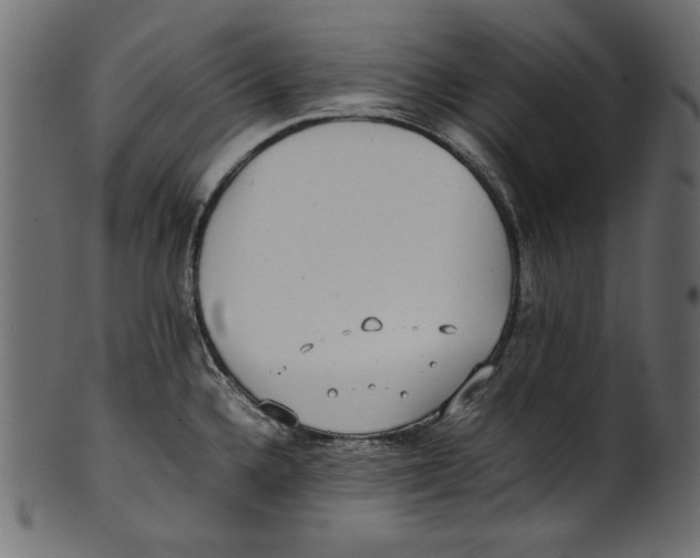 X0000100851336200807181047