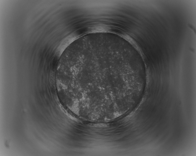 X0000100851337200807181047