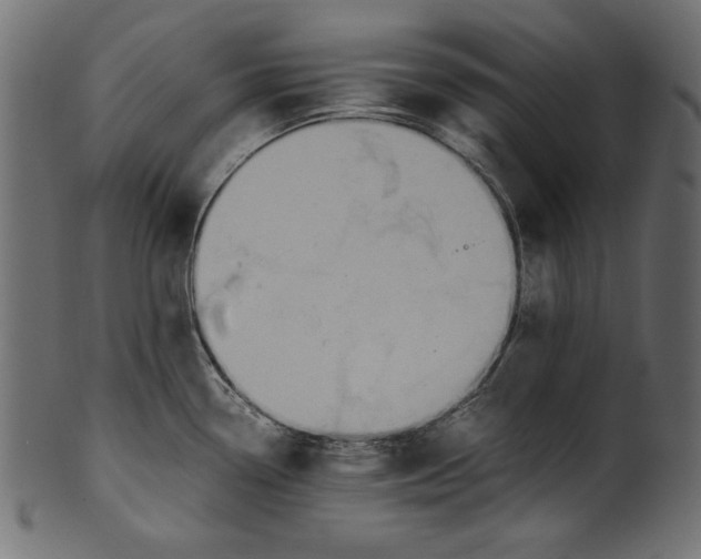 X0000100851338200807181047
