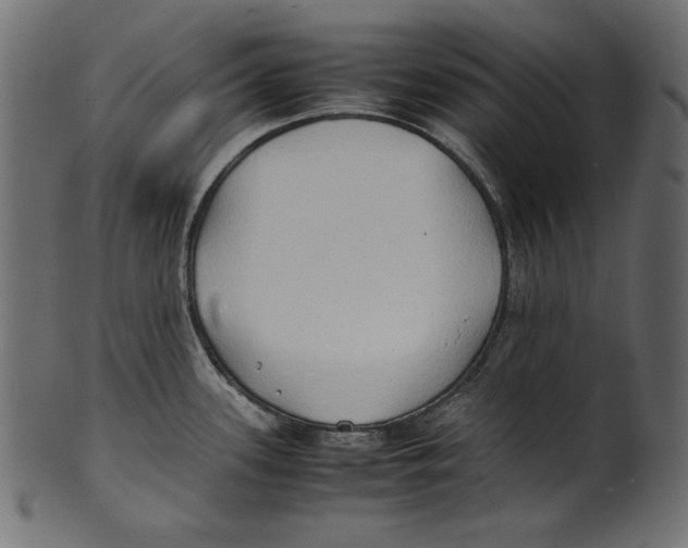 X0000100851339200807181047