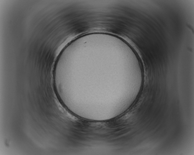 X0000100851341200807181047
