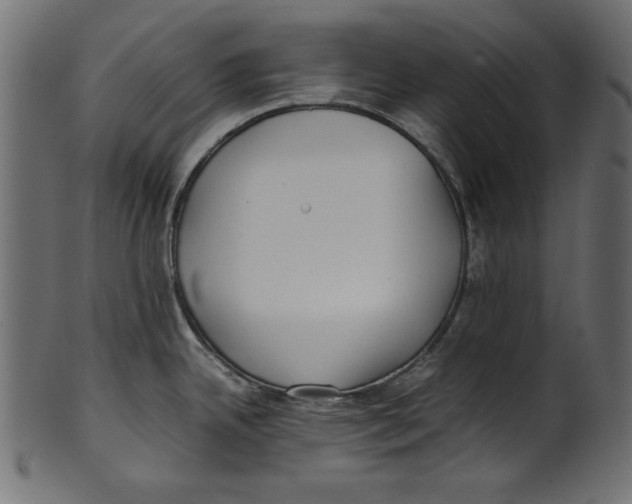 X0000100851342200807181048