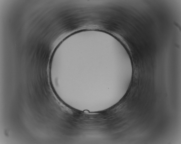 X0000100851343200807181048