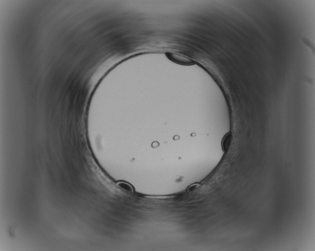 X0000100851344200807181048