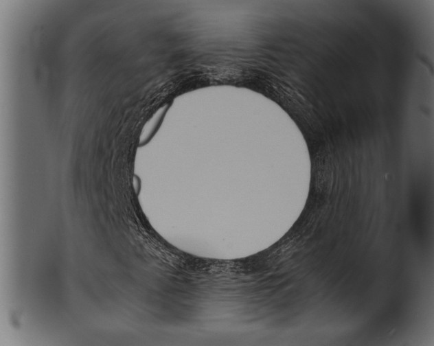 X0000100851345200807181047