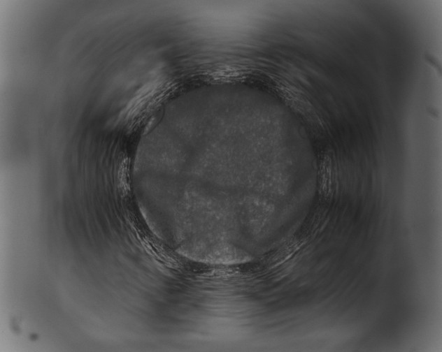 X0000100851346200807181047