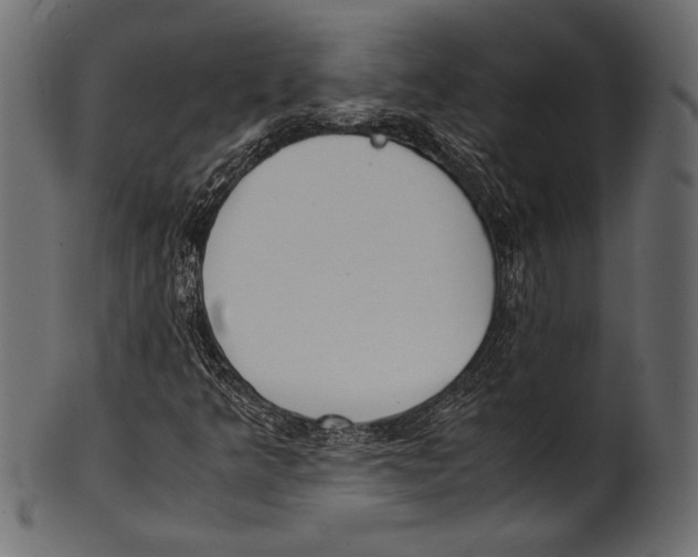 X0000100851349200807181047