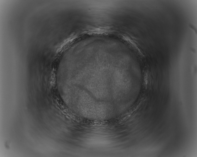 X0000100851350200807181047