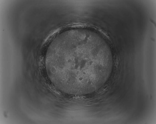 X0000100851351200807181047