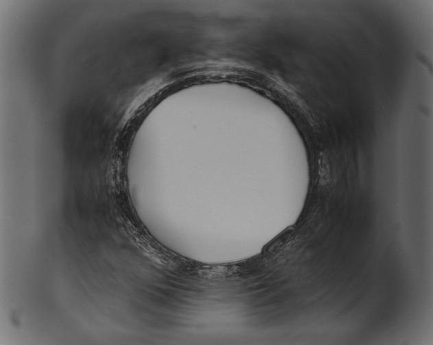 X0000100851352200807181047