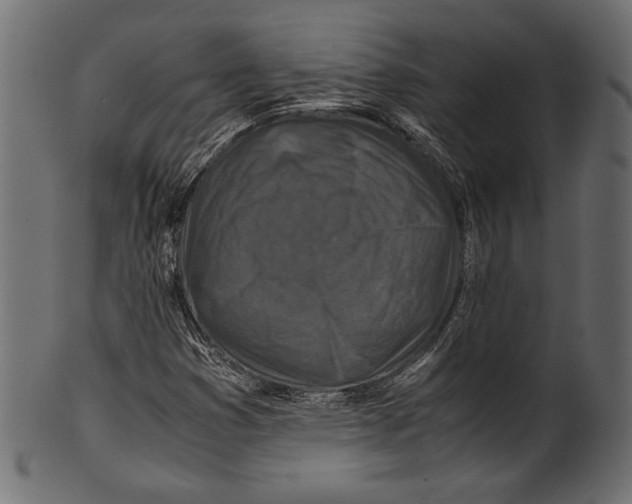 X0000100851353200807181047
