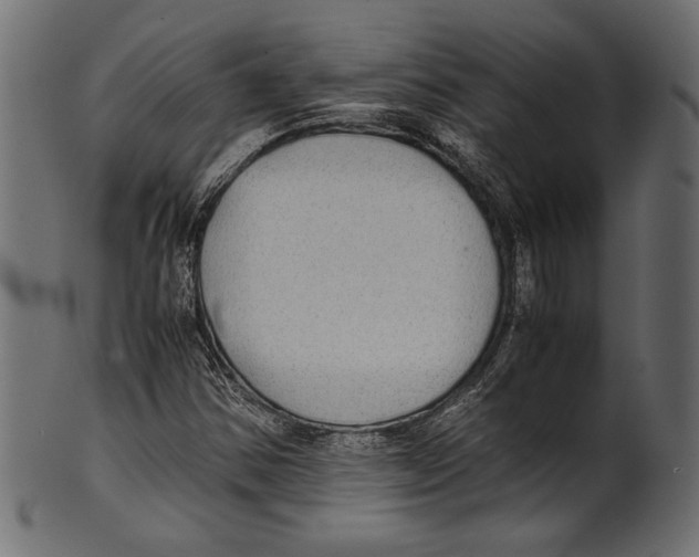 X0000100851354200807181047