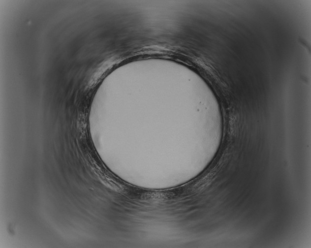X0000100851355200807181047