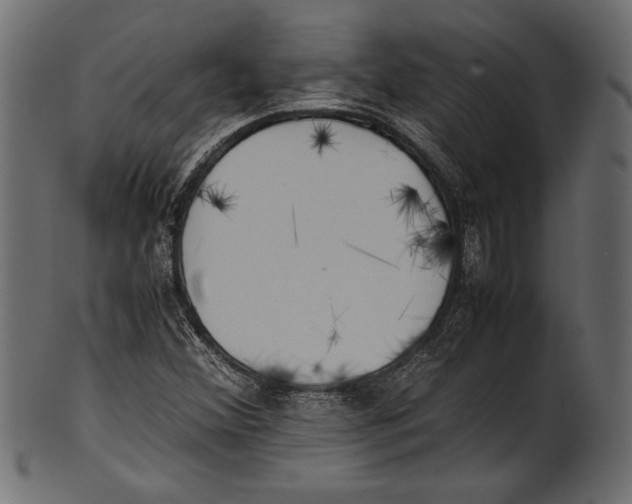 X0000100851356200807181047