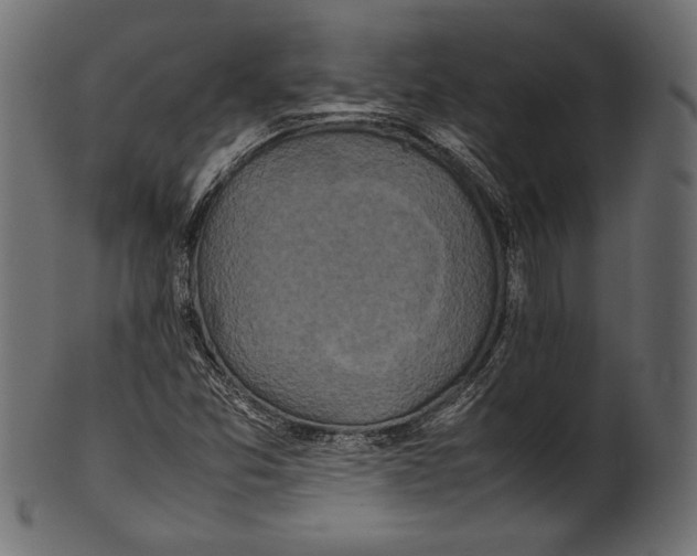 X0000100851357200807181047