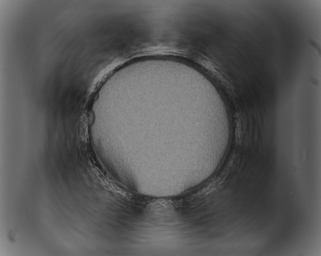 X0000100851358200807181047