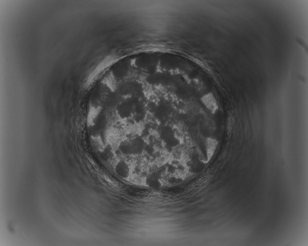 X0000100851359200807181047