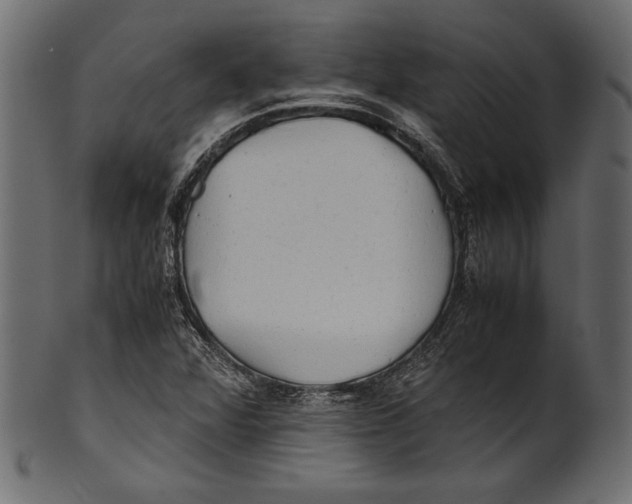 X0000100851360200807181047