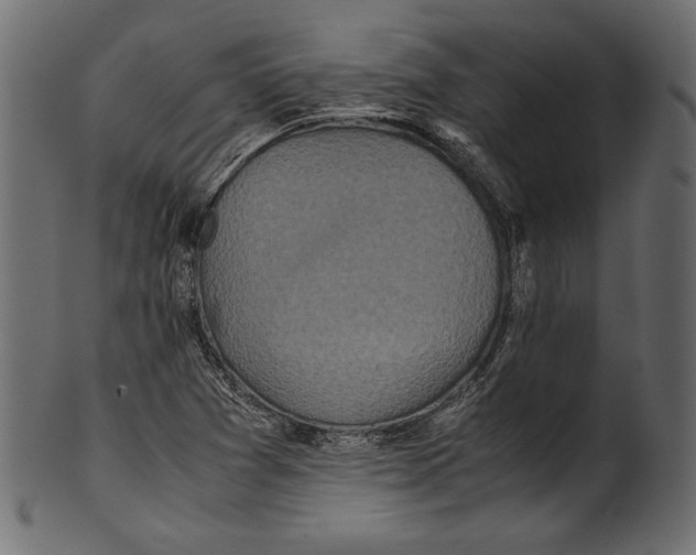 X0000100851361200807181047