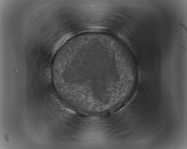 X0000100851362200807181047