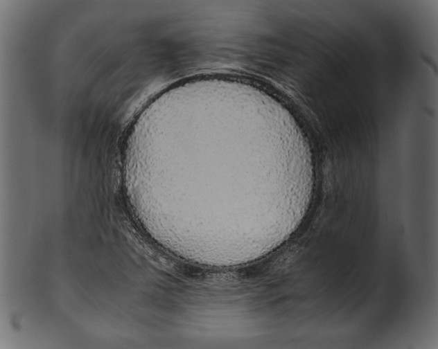 X0000100851363200807181047