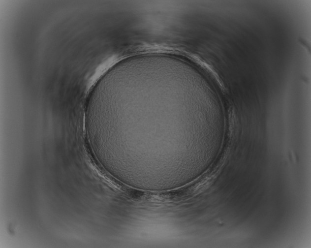 X0000100851365200807181047