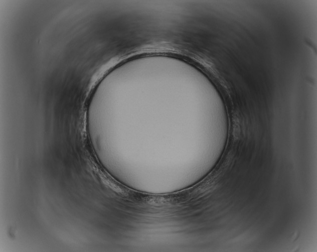 X0000100851366200807181047
