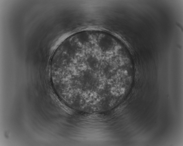 X0000100851367200807181047