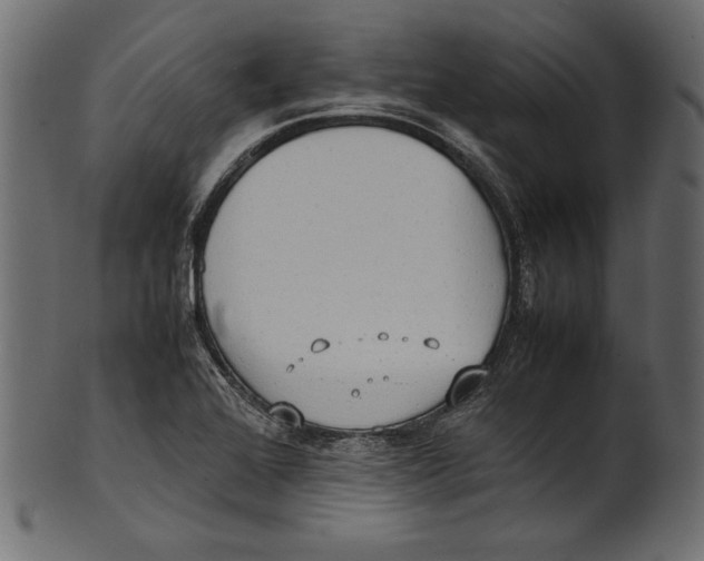 X0000100851368200807181047