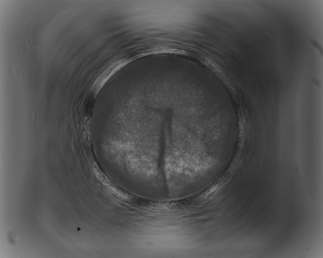 X0000100851369200807181047