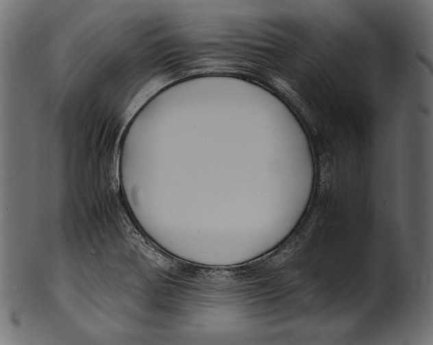 X0000100851370200807181047