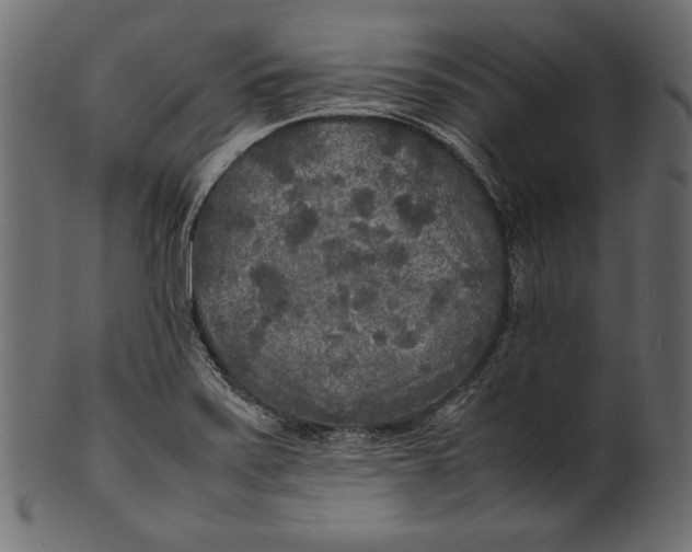 X0000100851371200807181046