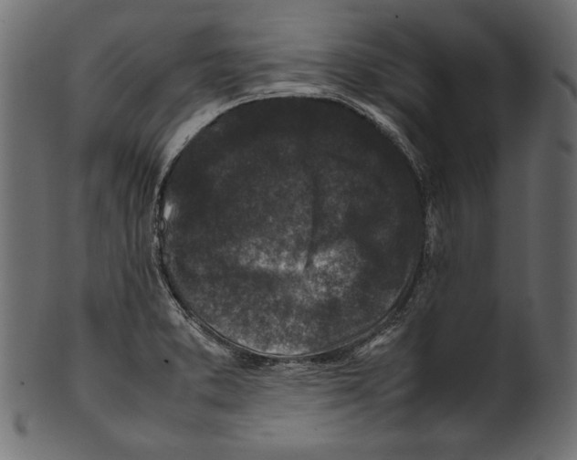 X0000100851373200807181046