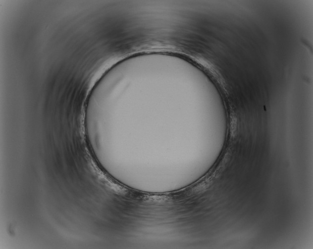 X0000100851374200807181046