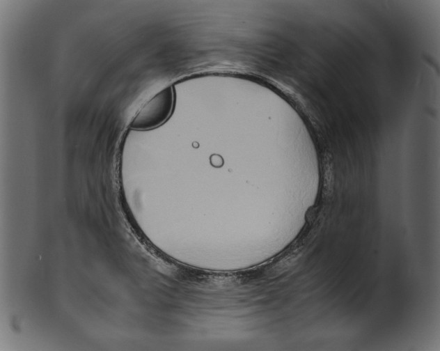 X0000100851375200807181046