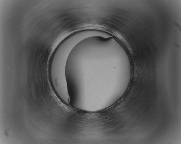 X0000100851376200807181046