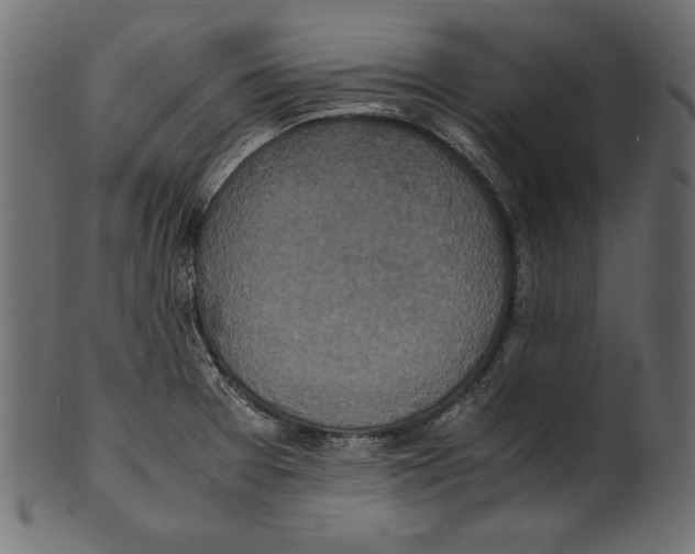 X0000100851377200807181046