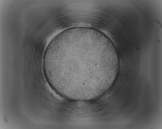 X0000100851379200807181046
