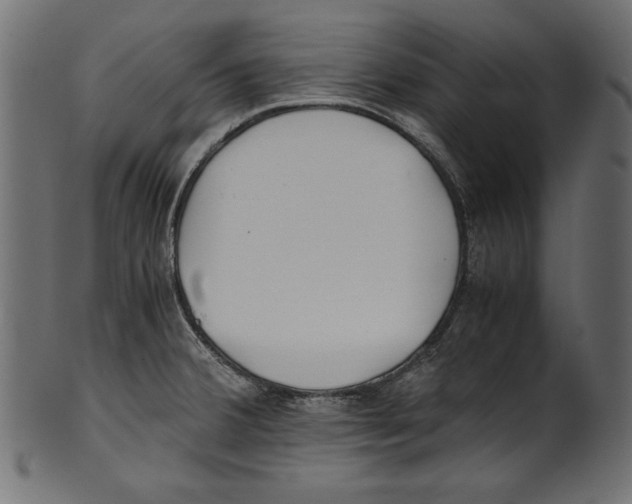 X0000100851380200807181046
