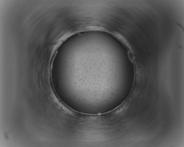 X0000100851381200807181046