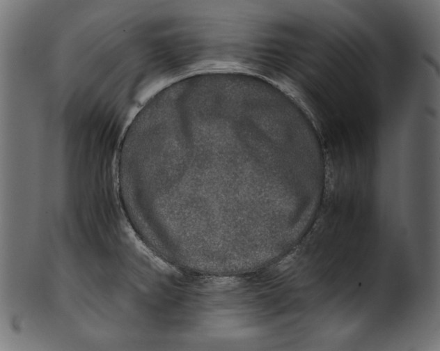 X0000100851382200807181046