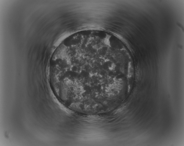 X0000100851383200807181046