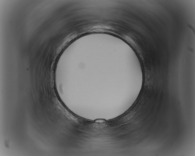 X0000100851384200807181046